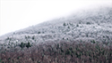 Cascade Frost